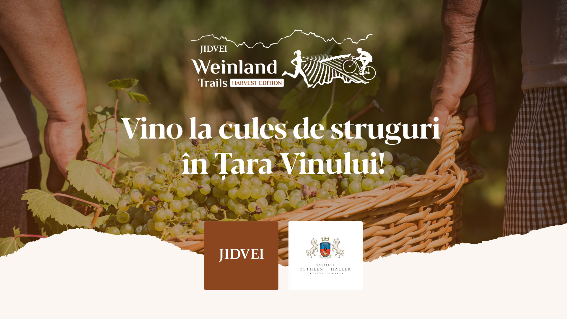 Jidvei Weinland Trails – Harvest Edition, o nouă provocare pentru iubitorii de natură și vin